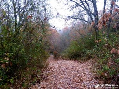 Robledales Riaza-Ermita Hontanares; parque peñalara parque natural montgo parques murcia